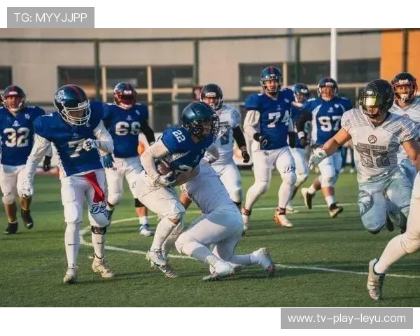 综合赛事新兴项目赛季趋势与分析