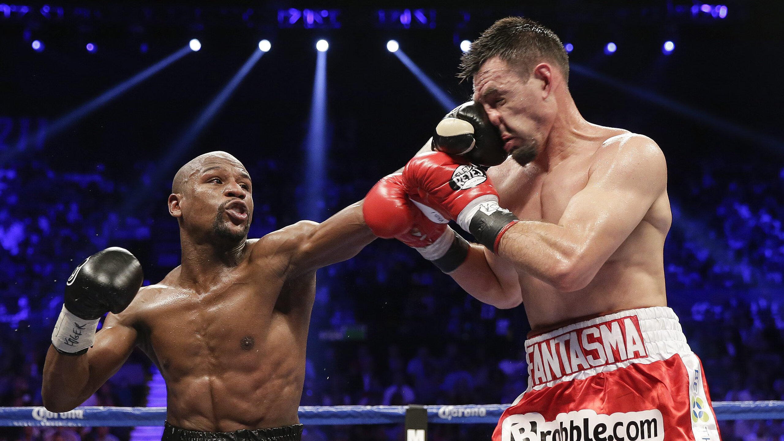 乐鱼电竞在线平台-凯尔特人新季雷厉风行，目标东部冠军，凯尔特人队新闻